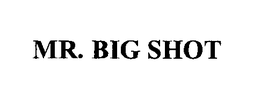 MR. BIG SHOT trademark