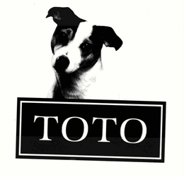 TOTO trademark