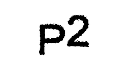 P2 trademark