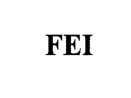 FEI trademark