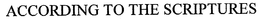 ACCORDING TO THE SCRIPTURES trademark
