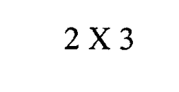 2 X 3 trademark