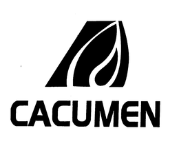 CACUMEN trademark