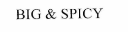 BIG & SPICY trademark