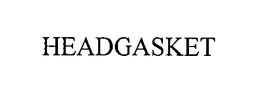 HEADGASKET trademark