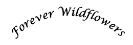 FOREVER WILDFLOWERS trademark