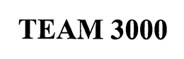 TEAM 3000 trademark