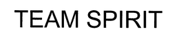 TEAM SPIRIT trademark