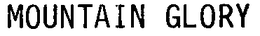 MOUNTAIN GLORY trademark