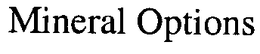 MINERAL OPTIONS trademark