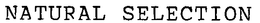 NATURAL SELECTION trademark