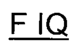 F IQ trademark