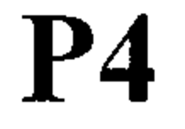 P4 trademark