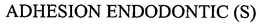 ADHESION ENDODONTIC(S) trademark