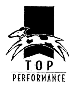 TOP PERFORMANCE trademark