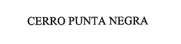 CERRO PUNTA NEGRA trademark