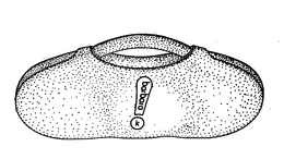 BARBARA K trademark