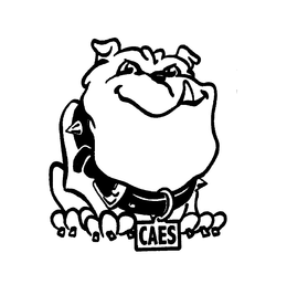 CAES trademark