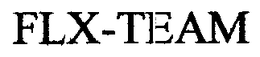 FLX-TEAM trademark