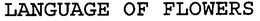 LANGUAGE OF FLOWERS trademark