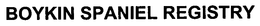 BOYKIN SPANIEL REGISTRY trademark