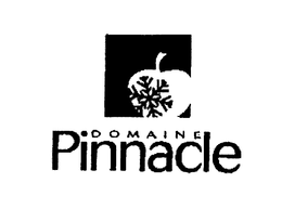 DOMAINE PINNACLE trademark