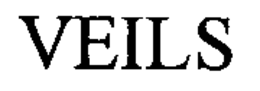VEILS trademark