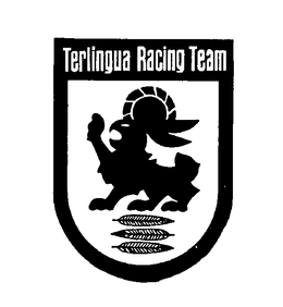 TERLINGUA RACING TEAM trademark