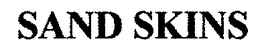 SAND SKINS trademark