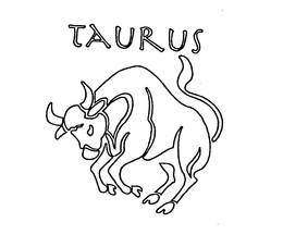 TAURUS trademark