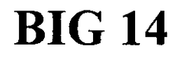 BIG 14 trademark