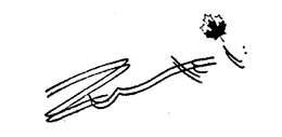 ZUKI trademark