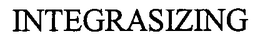 INTEGRASIZING trademark