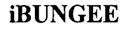 IBUNGEE trademark