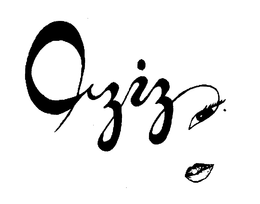 AZIZ trademark