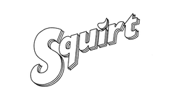 SQUIRT trademark
