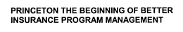 PRINCETON THE BEGINNING OF BETTER INSURANCE PROGRAM MANAGEMENT trademark