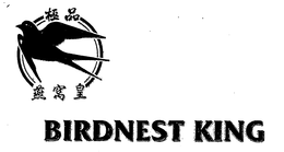 BIRDNEST KING trademark