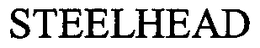 STEELHEAD trademark