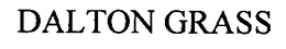 DALTON GRASS trademark
