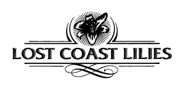 LOST COAST LILIES trademark