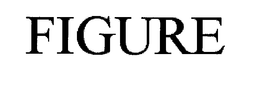 FIGURE trademark