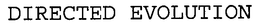 DIRECTED EVOLUTION trademark