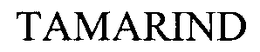 TAMARIND trademark