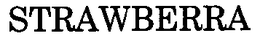 STRAWBERRA trademark