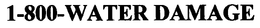 1-800-WATER DAMAGE trademark