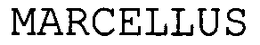 MARCELLUS trademark