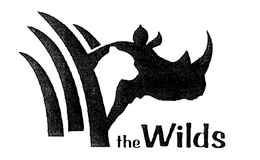 THE WILDS trademark