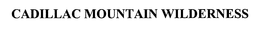 CADILLAC MOUNTAIN WILDERNESS trademark