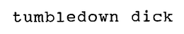 TUMBLEDOWN DICK trademark